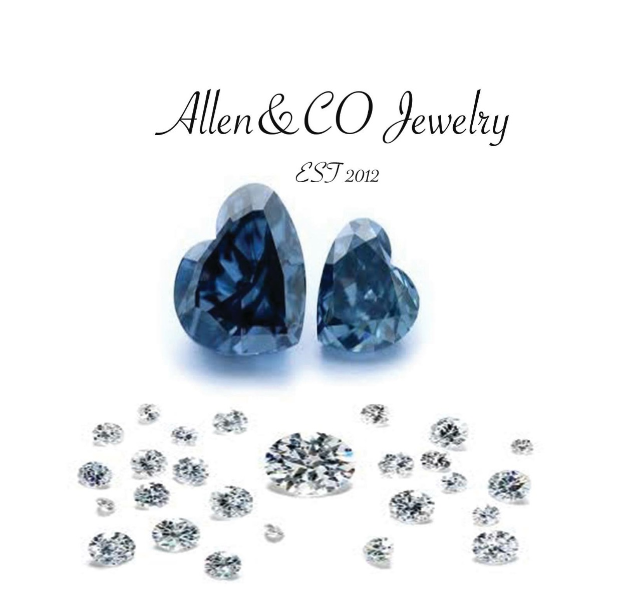 Allen & Co Jewelry